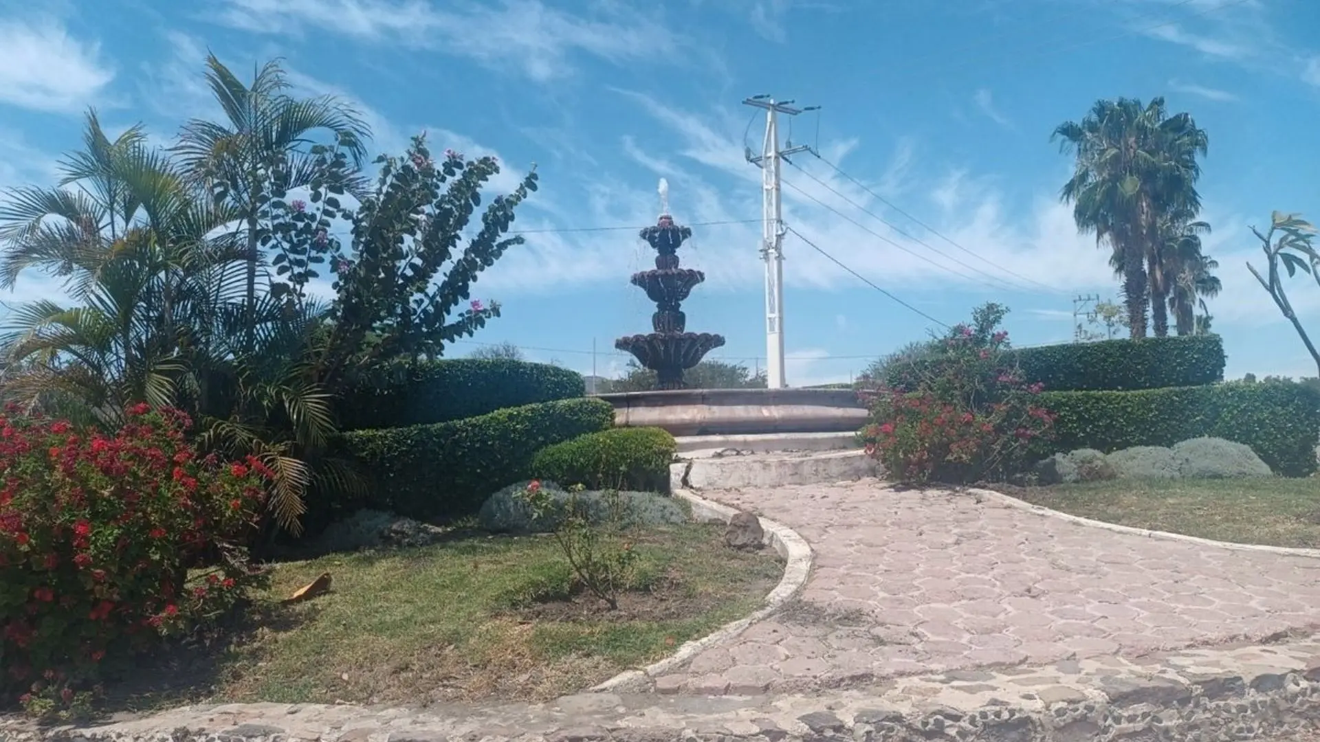 Miniatura 20