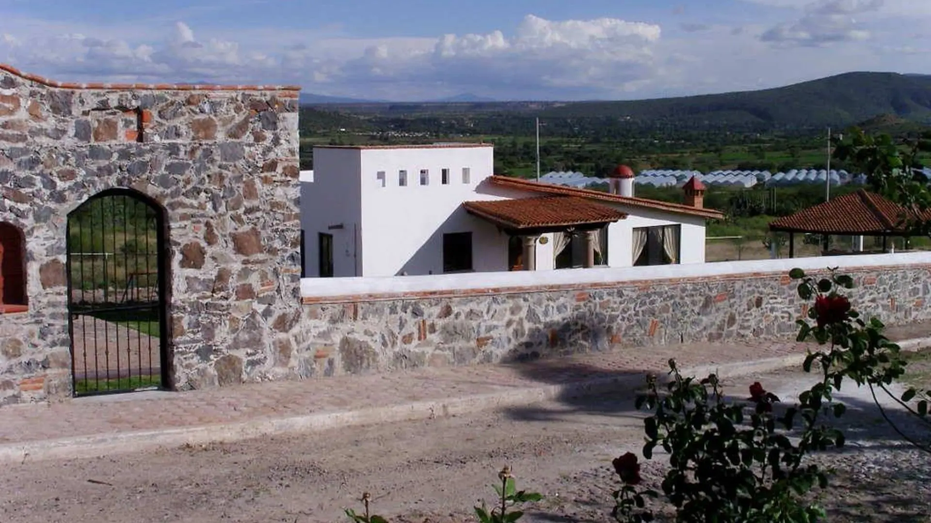 Miniatura 19